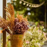 Carmen 3* Eforie Nord