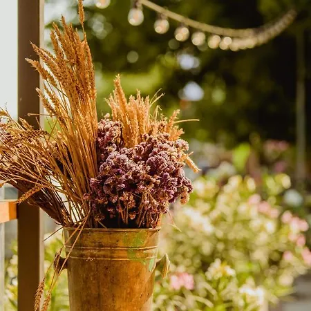 Carmen 3* Эфорие Норд