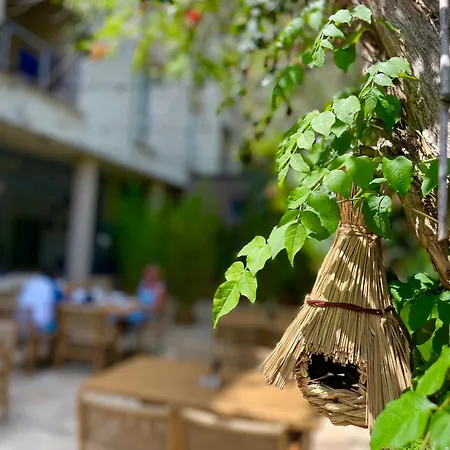 Carmen Hotel Eforie Nord