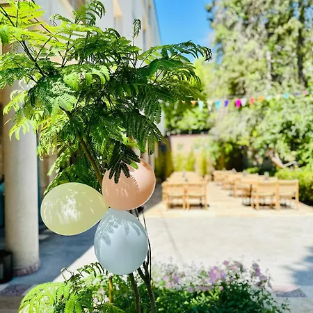 Carmen Эфорие Норд