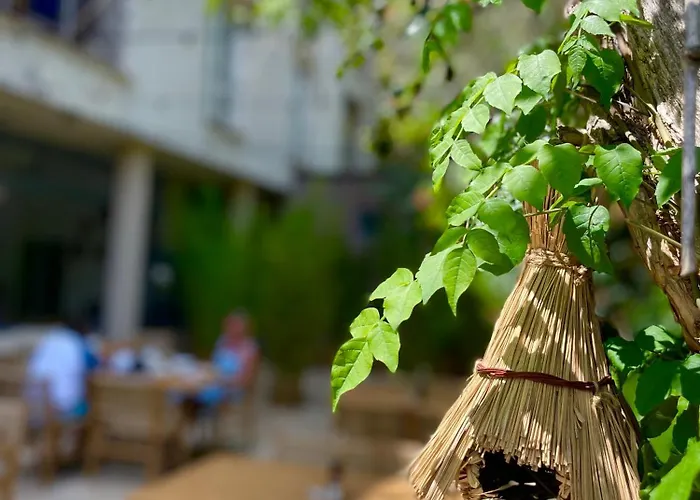 Carmen Hotel Eforie Nord