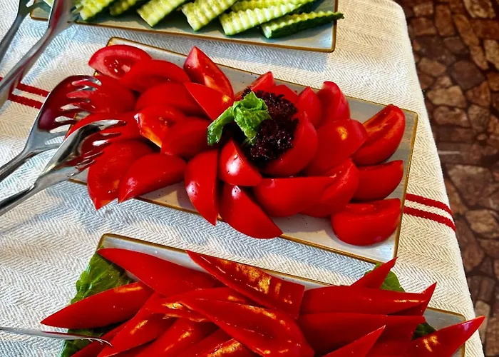 Carmen מלון אפורי נורד